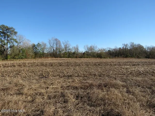 $320,000 | 53 Hwy E Kelly Nc 28448 Highway East, Kelly, NC 28448