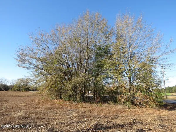 $320,000 | 53 Hwy E Kelly Nc 28448 Highway East, Kelly, NC 28448