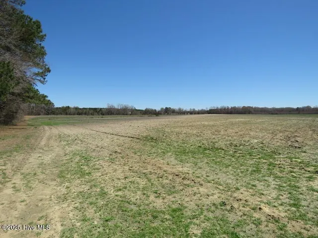 $320,000 | 53 Hwy E Kelly Nc 28448 Highway East, Kelly, NC 28448