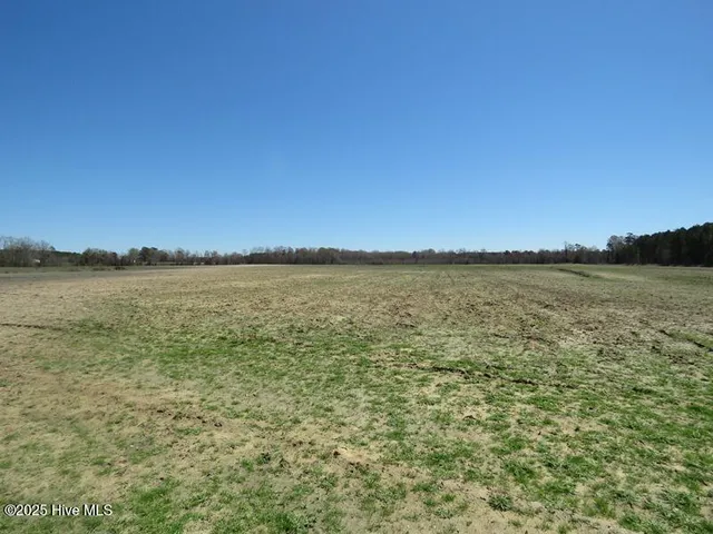 $320,000 | 53 Hwy E Kelly Nc 28448 Highway East, Kelly, NC 28448