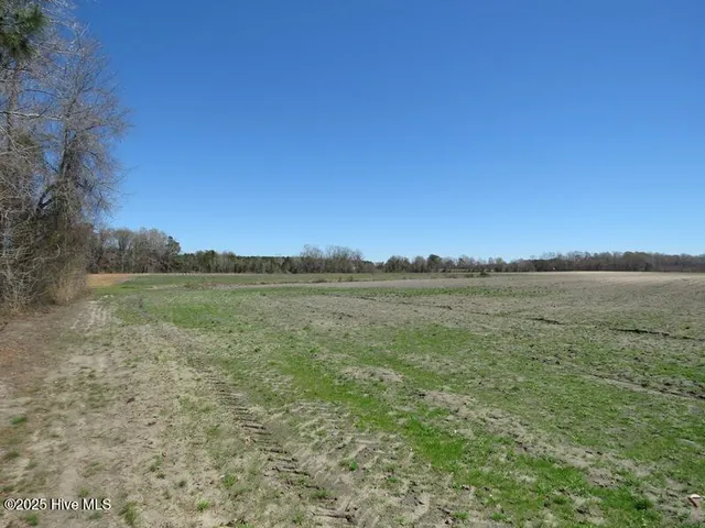 $320,000 | 53 Hwy E Kelly Nc 28448 Highway East, Kelly, NC 28448