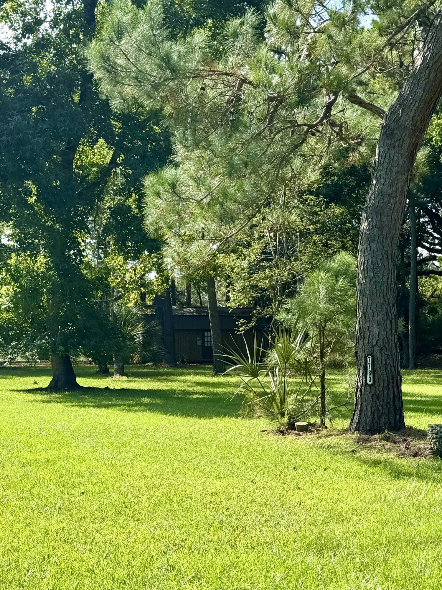 7783 Legare Road Edisto Island, SC 29438 - Photo 11 of 22 Entry w address