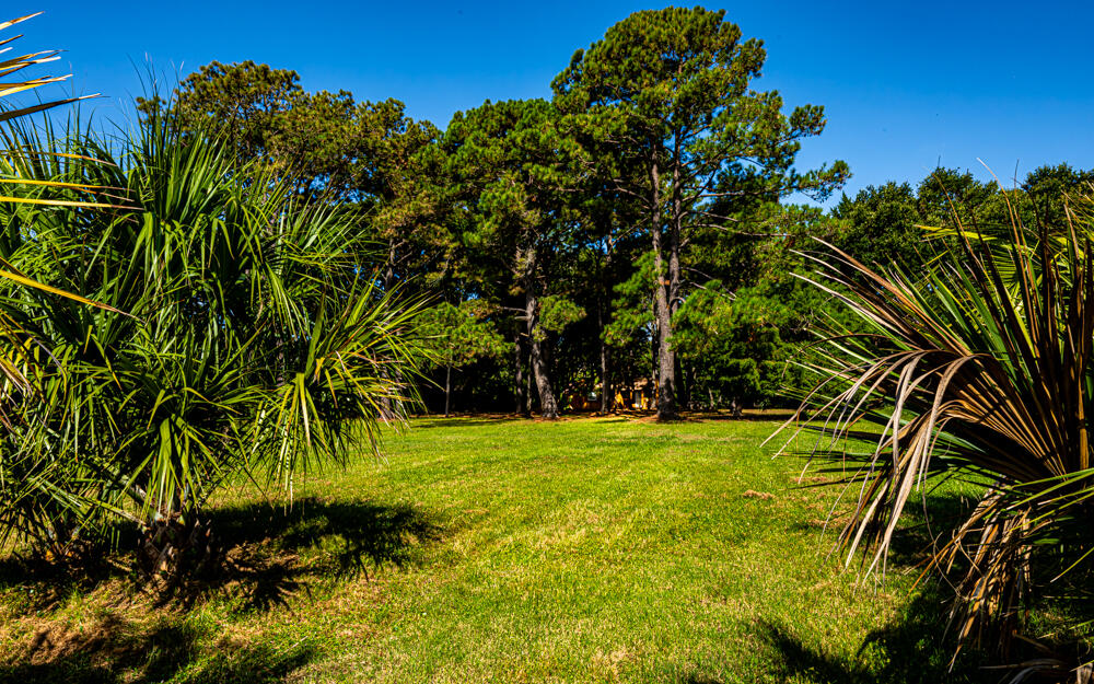 7783 Legare Road Edisto Island, SC 29438 - Photo 12 of 22 Lot from marsh view