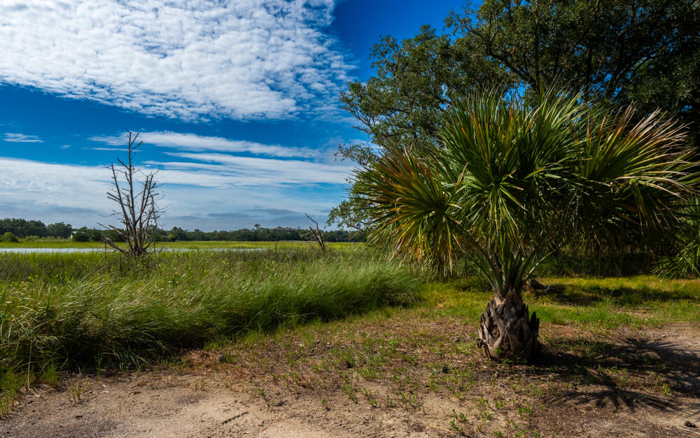 7783 Legare Road Edisto Island, SC 29438 - Photo 14 of 22 Marsh view right