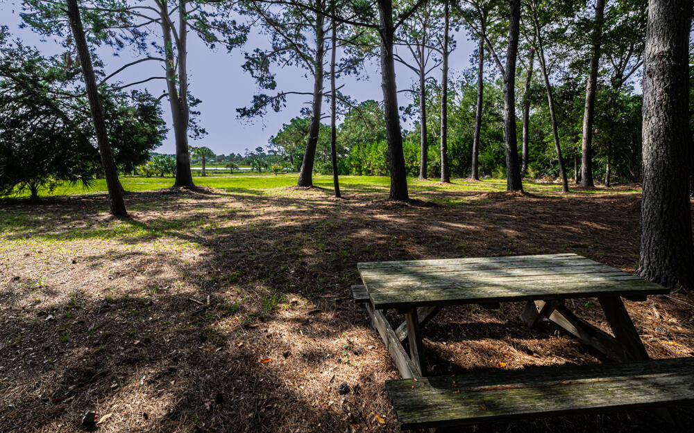 7783 Legare Road Edisto Island, SC 29438 - Photo 16 of 22 Picnic table to marsh