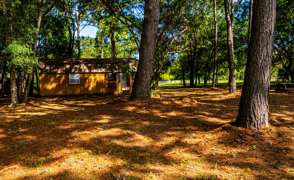 7783 Legare Road Edisto Island, SC 29438 - Photo 19 of 22 Outbuilding:trees marsh side view