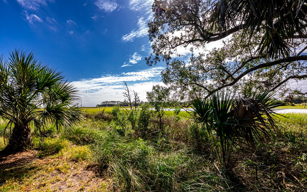 Marsh view left