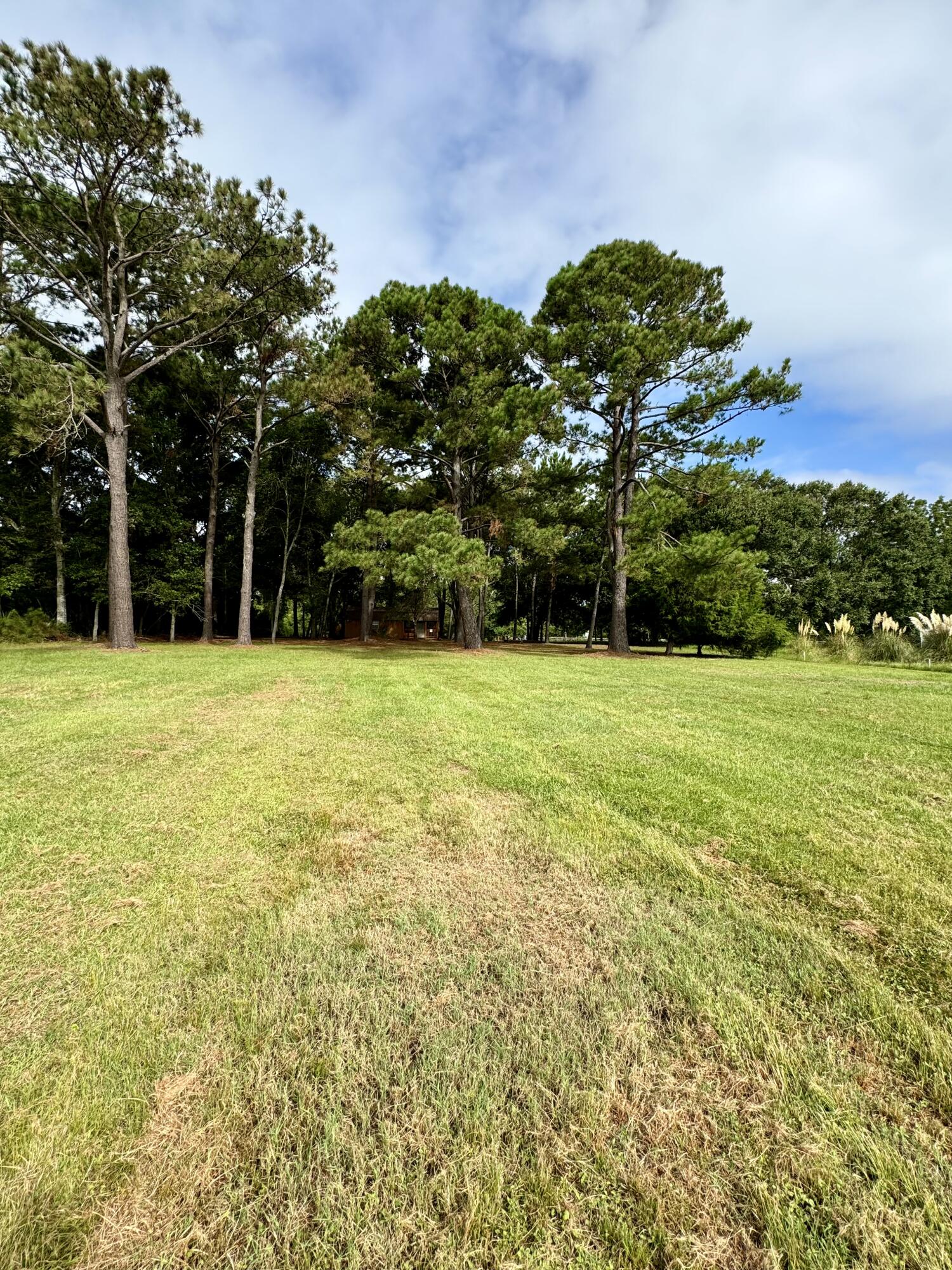 Marsh to outbuilding view