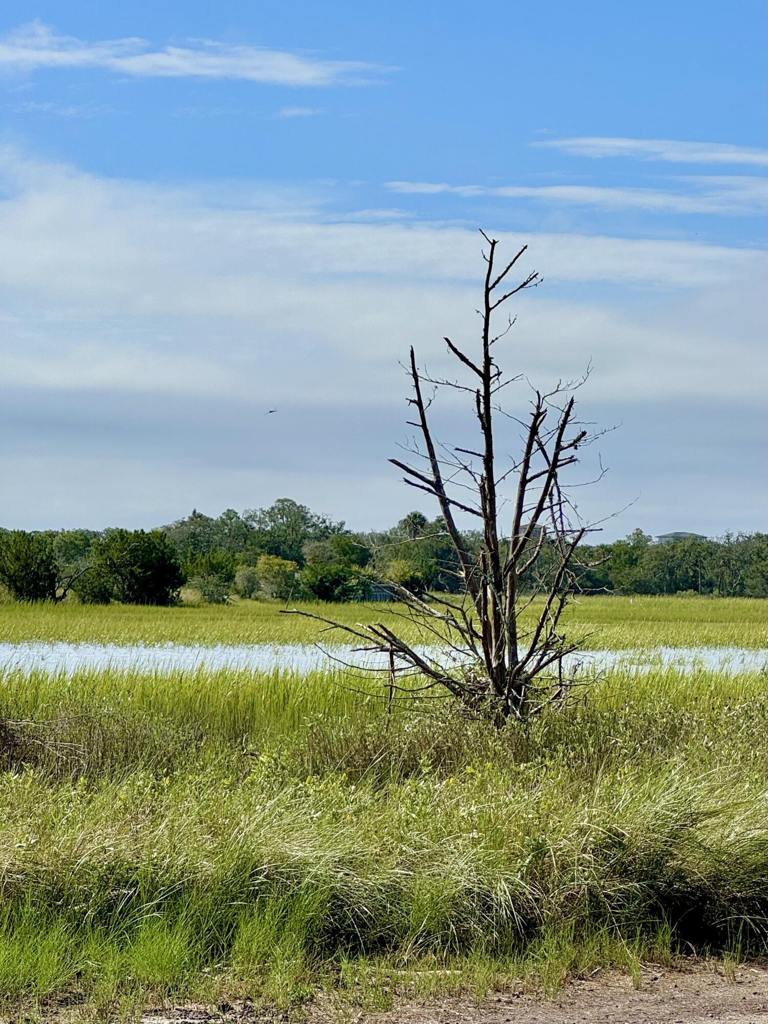 7783 Legare Road Edisto Island, SC 29438 - Photo 10 of 22 Low center marsh view