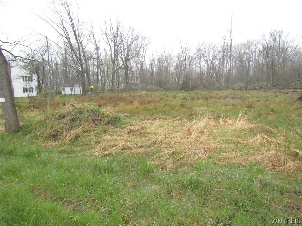 Cleared and ready for building