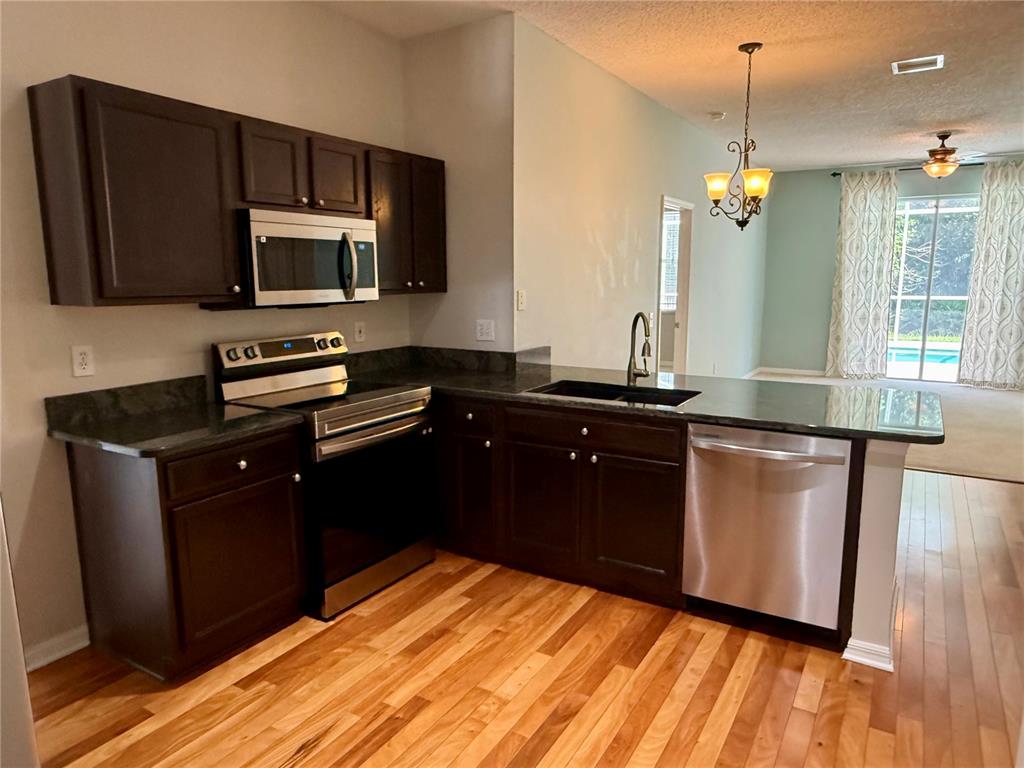 12521 Sparkleberry Road Tampa, FL 33626 - Photo 11 of 41