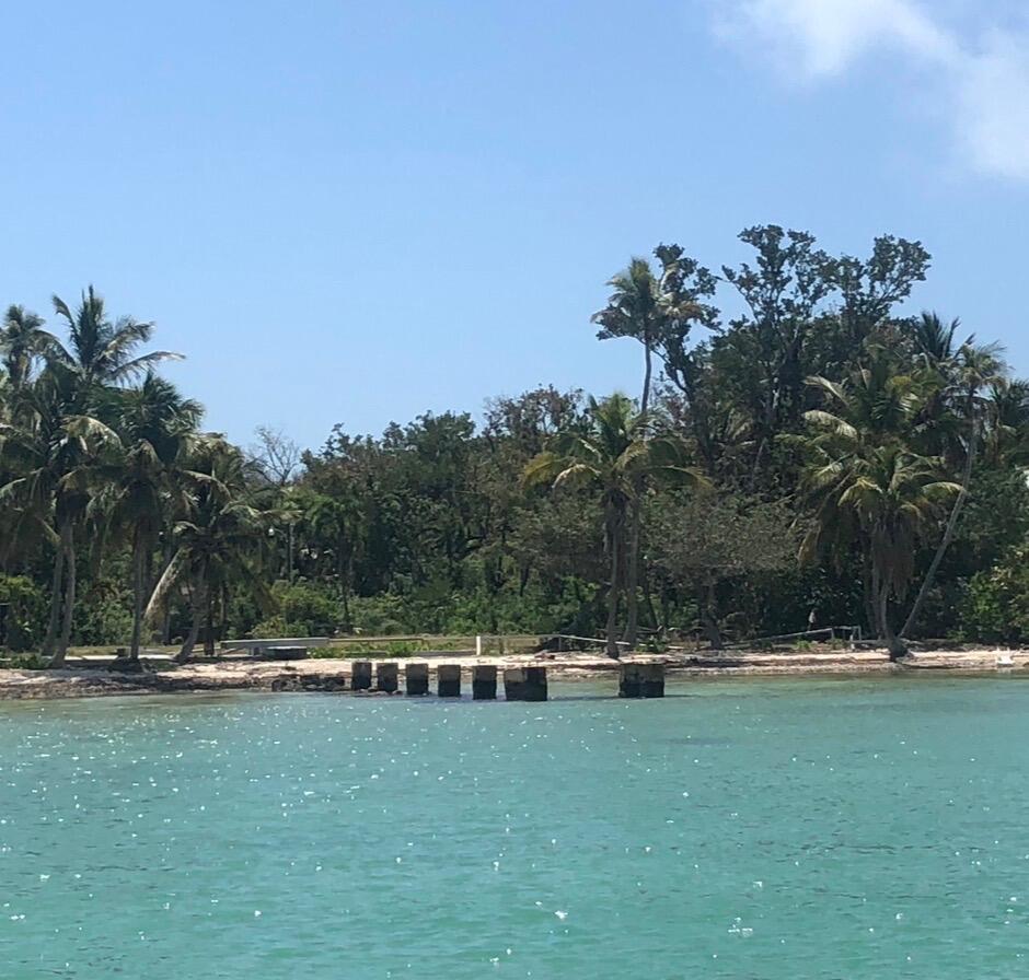 41 Sunset Road Key Largo, FL 33037 - Photo 56 of 61 view from water