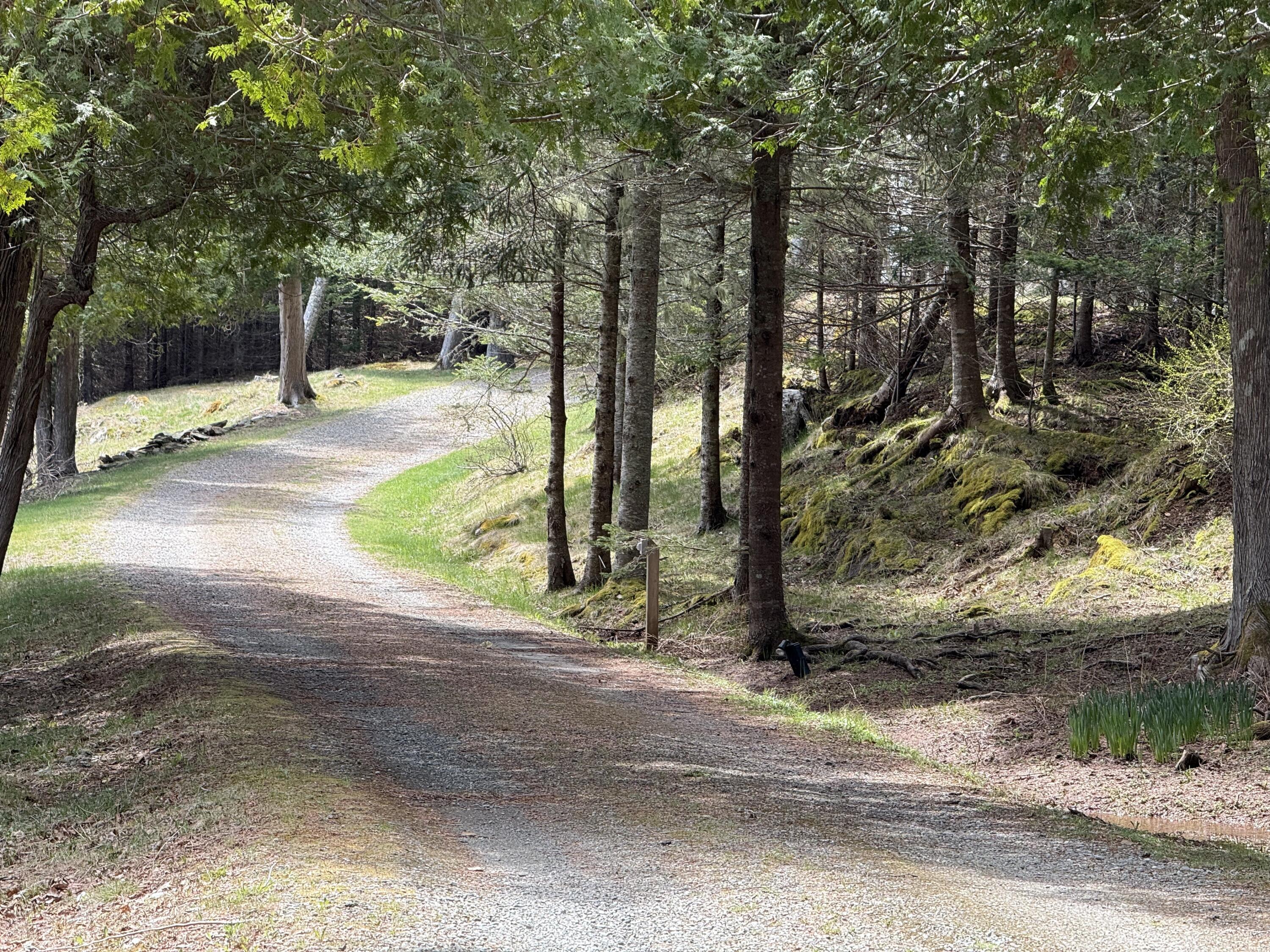 399 Hermit's Point Road Islesboro, ME 04848 - Photo 19 of 61 IMG_1428