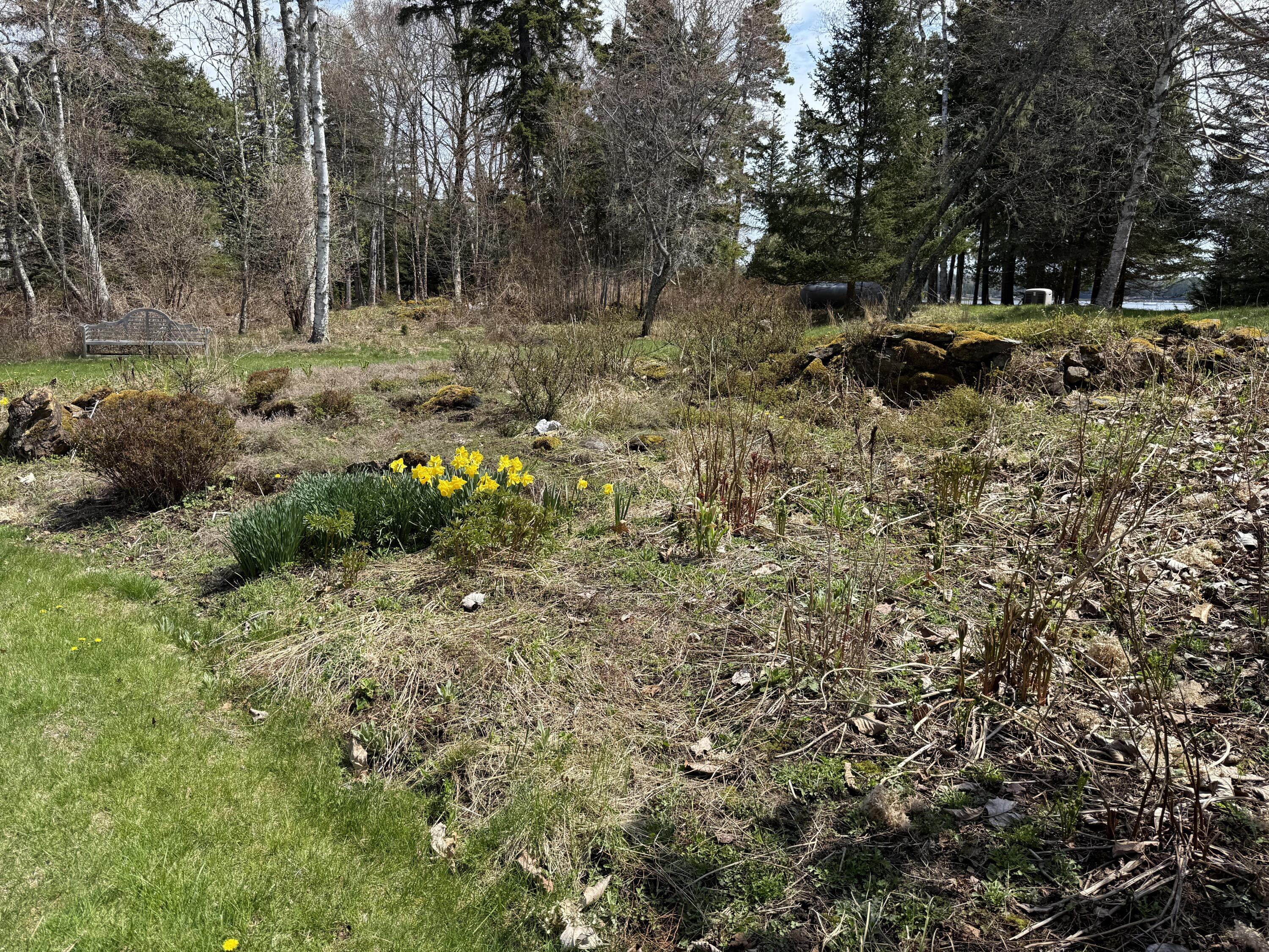 399 Hermit's Point Road Islesboro, ME 04848 - Photo 50 of 61 IMG_1362