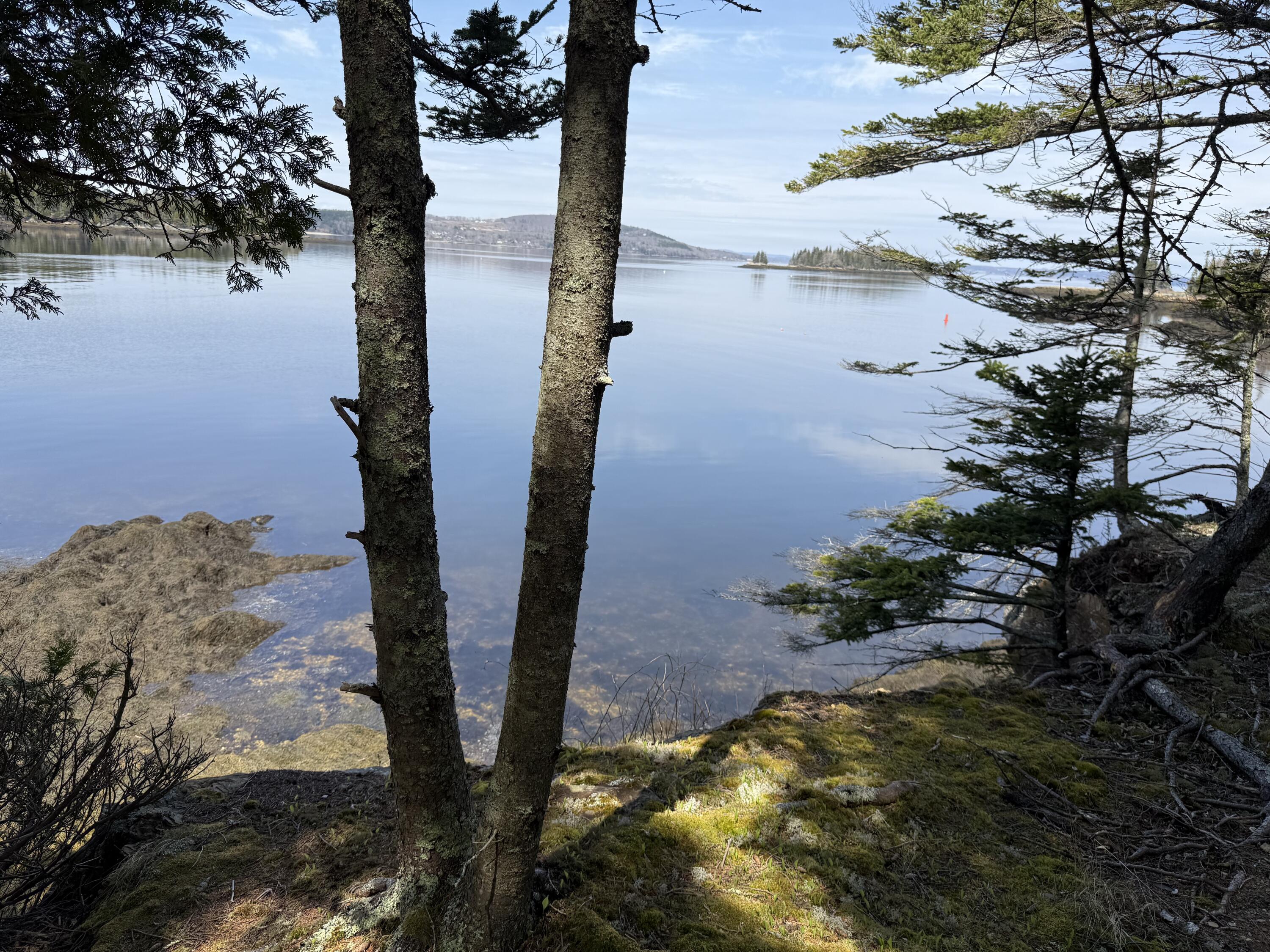 399 Hermit's Point Road Islesboro, ME 04848 - Photo 51 of 61 IMG_1369