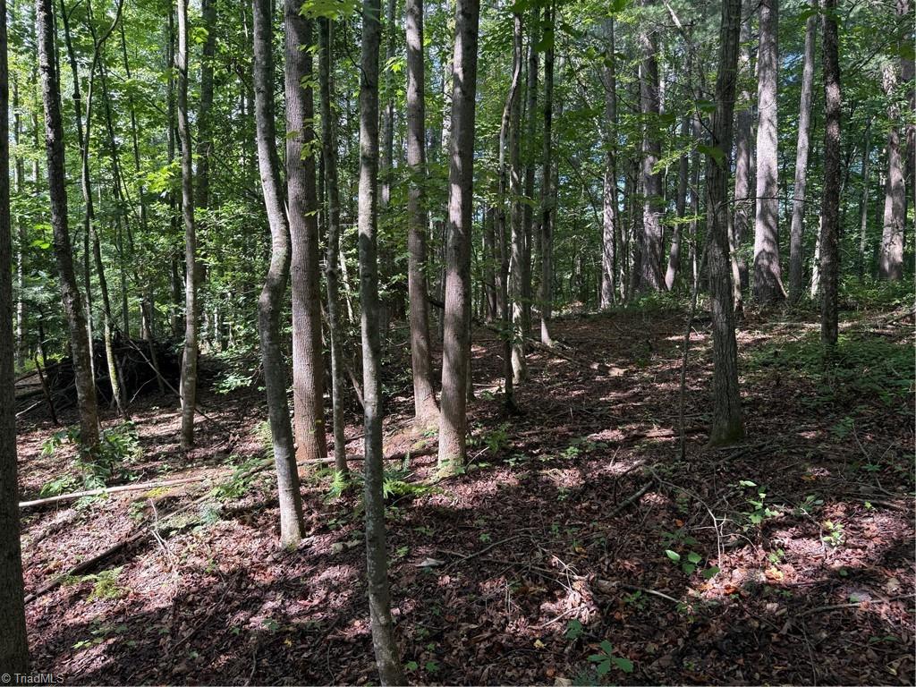Lot 22 Austin Traphill Road Traphill, NC 28685 - Photo 8 of 8
