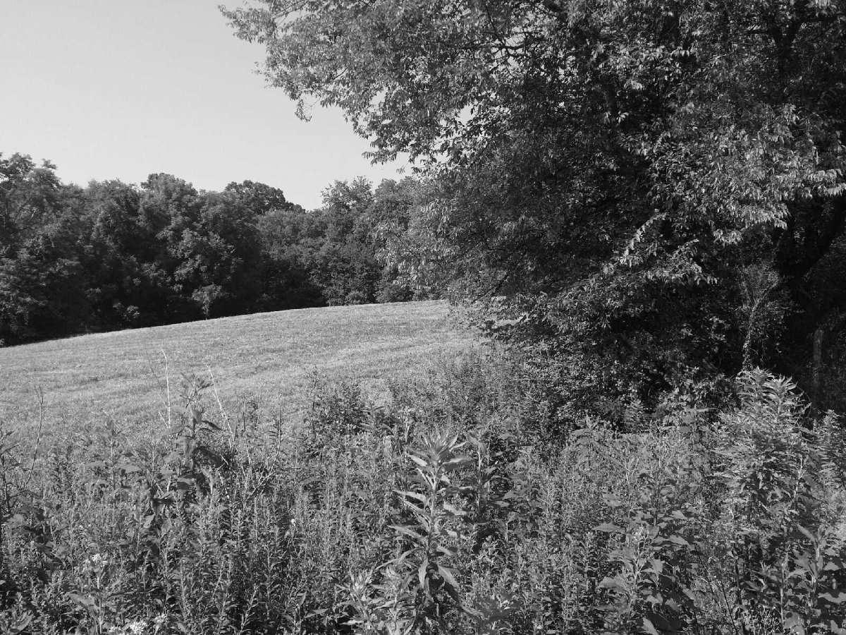 6443 Morganton Road Greenback, TN 37742 - Photo 12 of 12 8662