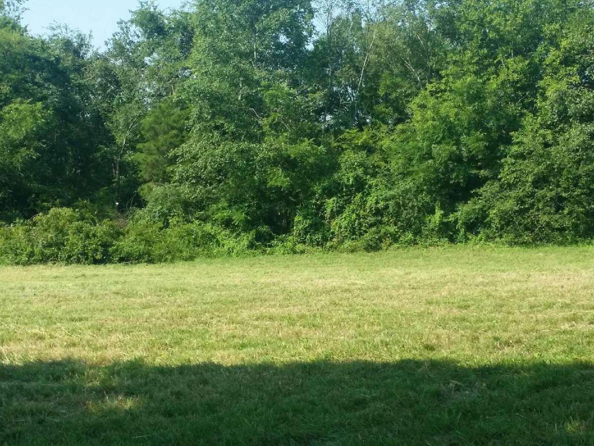6443 Morganton Road Greenback, TN 37742 - Photo 8 of 12 8675