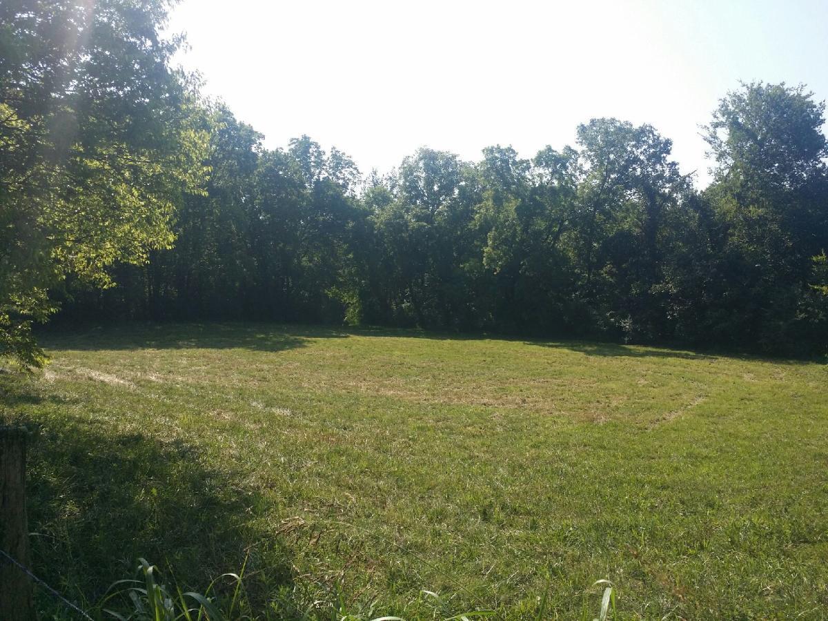 6443 Morganton Road Greenback, TN 37742 - Photo 10 of 12 8677