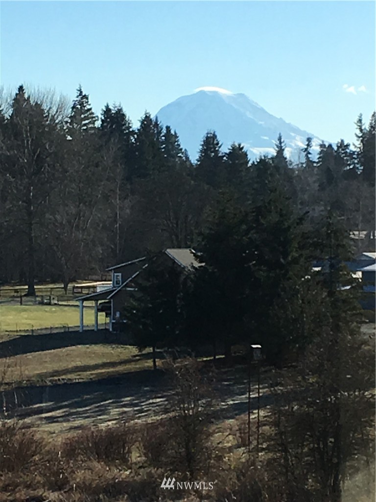 6009 Waller Road East Tacoma, WA 98443 - Photo 1 of 15