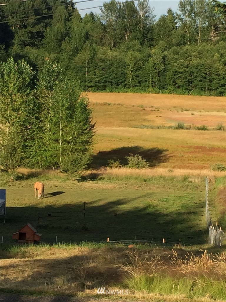 6009 Waller Road East Tacoma, WA 98443 - Photo 14 of 15