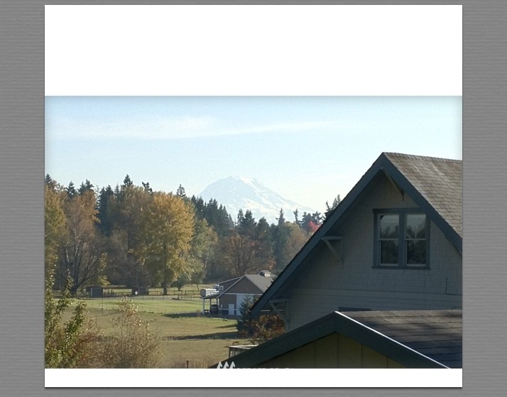 6009 Waller Road East Tacoma, WA 98443 - Photo 3 of 15