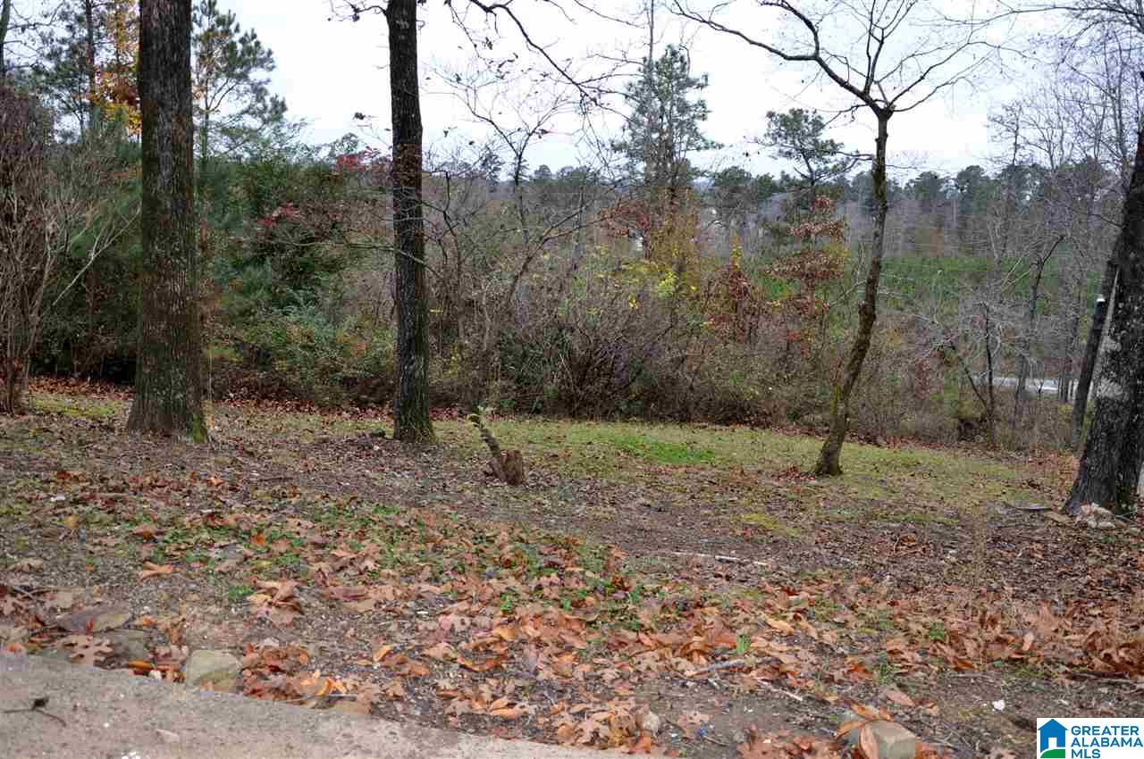 2109 Constellation Drive Alpine, AL 35014 - Photo 10 of 30