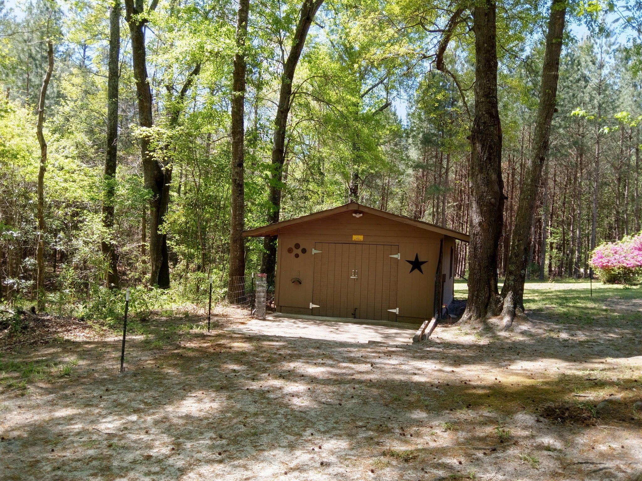 375 County Rd O C - 2155 Neeses, SC 29107 - Photo 14 of 20 7030560040237129680
