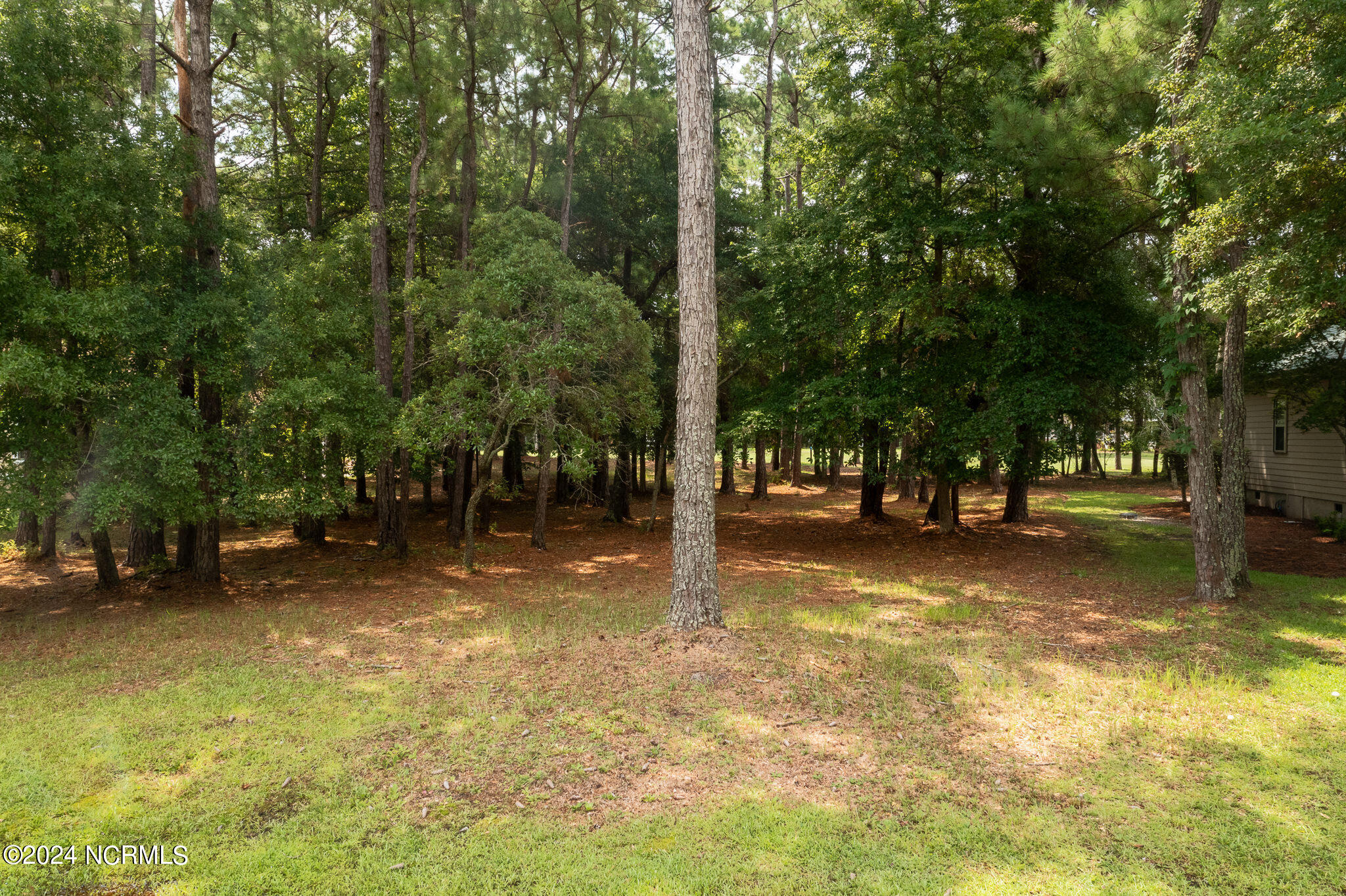 383 Genoe's Point Road Southwest Supply, NC 28462 - Photo 3 of 24 383_GenoesPoint-3