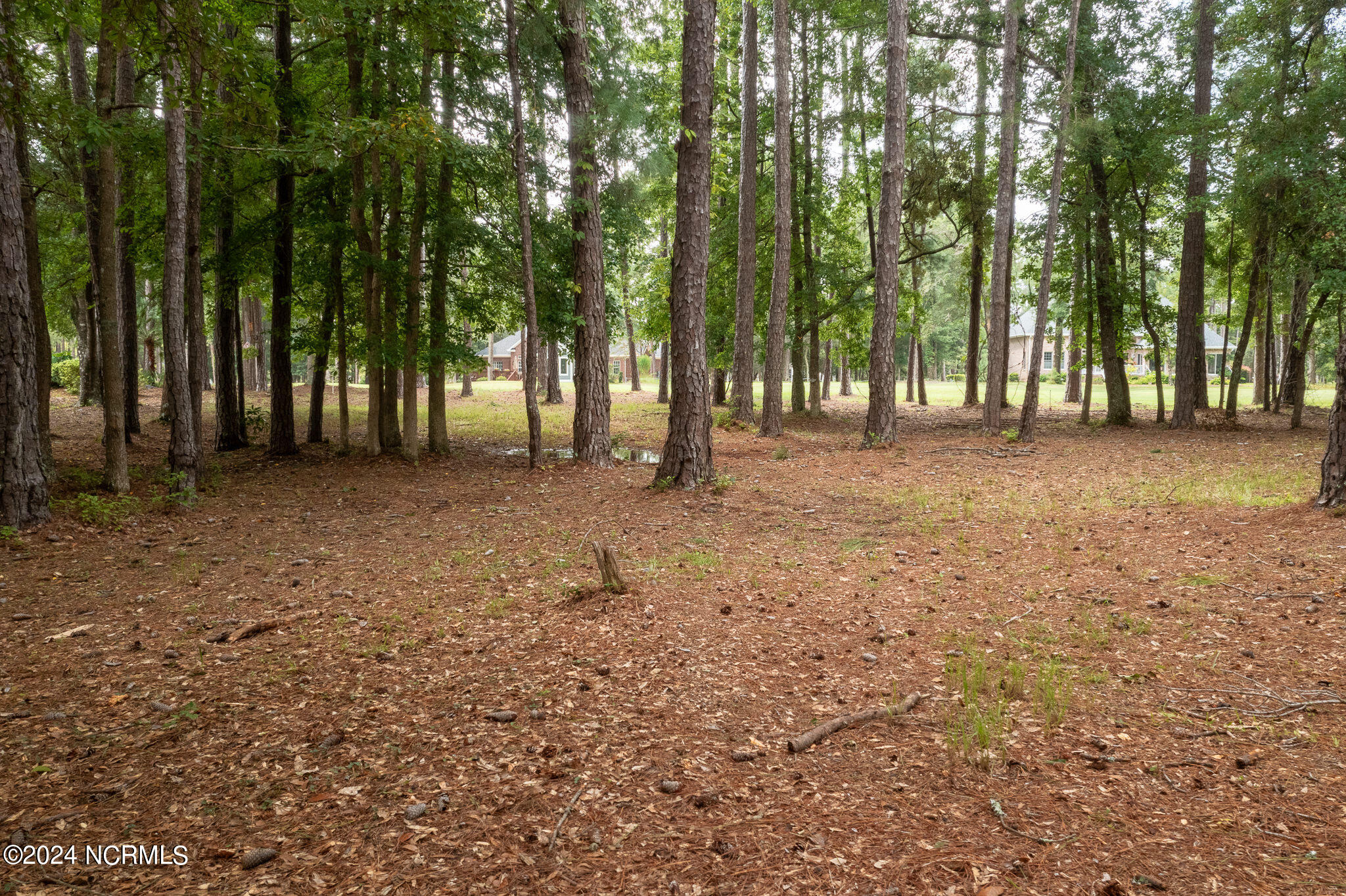 383 Genoe's Point Road Southwest Supply, NC 28462 - Photo 6 of 24 383_GenoesPoint-6