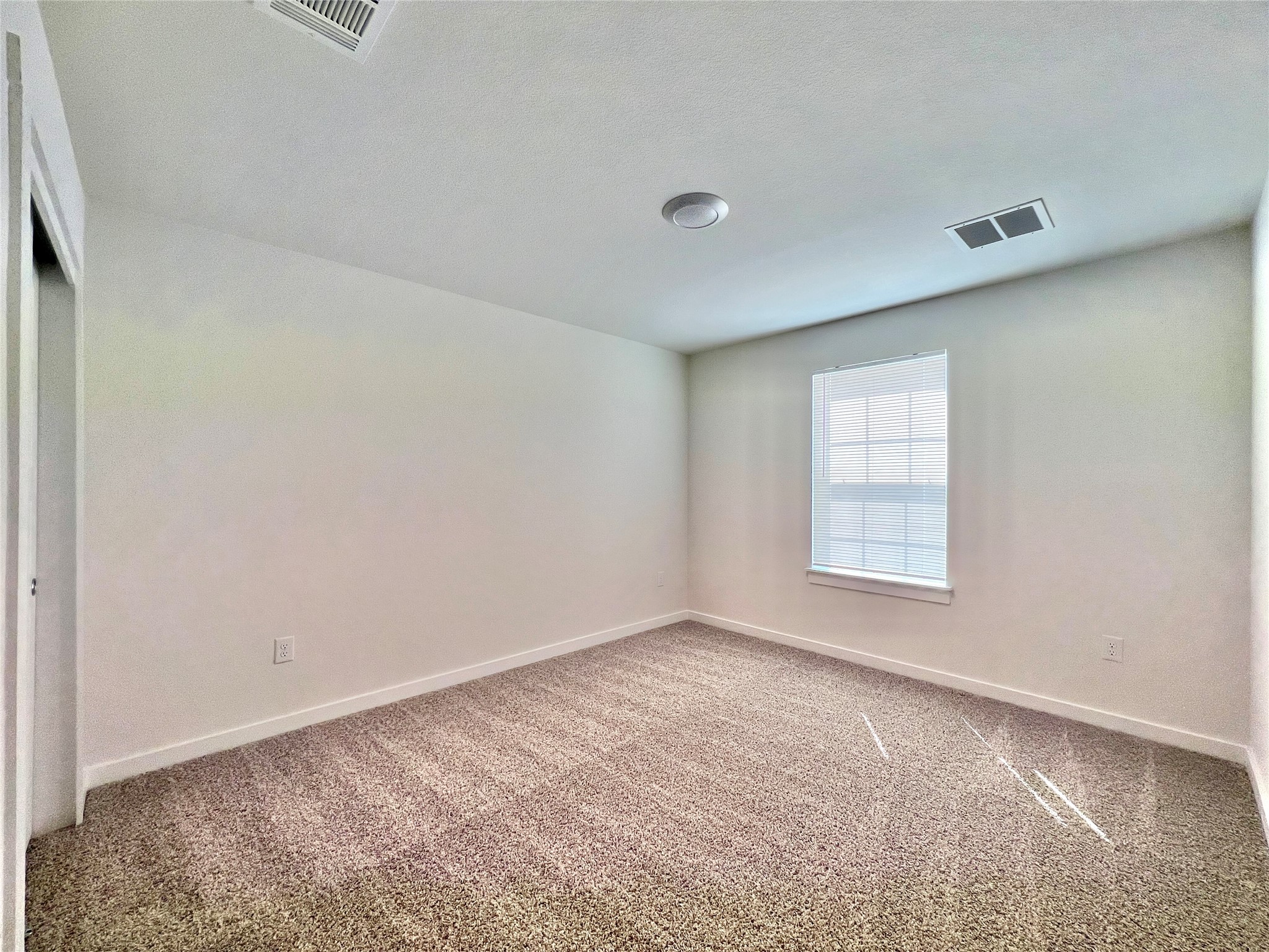 2028 Ruger Pass Leander, TX 78641 - Photo 13 of 22