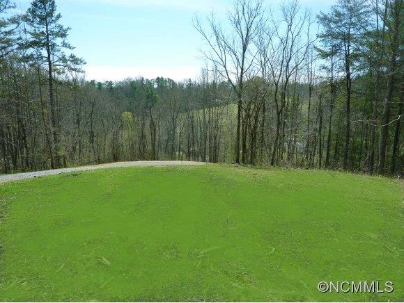 0 North Long Branch Road Marshall, NC 28753 - Photo 1 of 4 Gallery Image 1