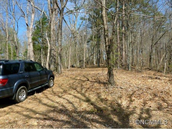 0 North Long Branch Road Marshall, NC 28753 - Photo 3 of 4 Gallery Image 3