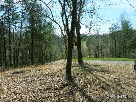 0 North Long Branch Road Marshall, NC 28753 - Photo 4 of 4 Gallery Image 4