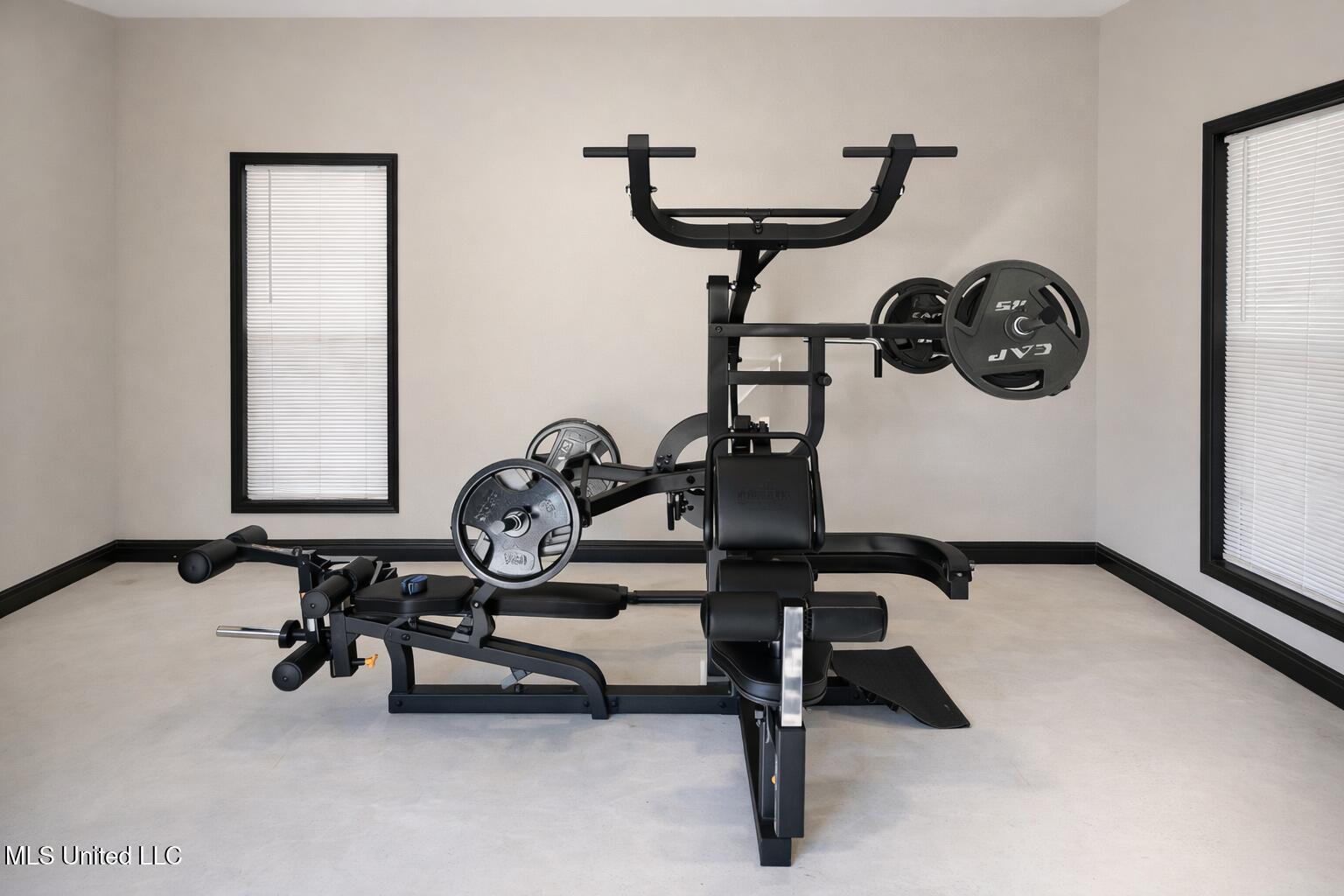 174 Hardy Williams Road Pinola, MS 39149 - Photo 18 of 22 HOME GYM IN GARAGE