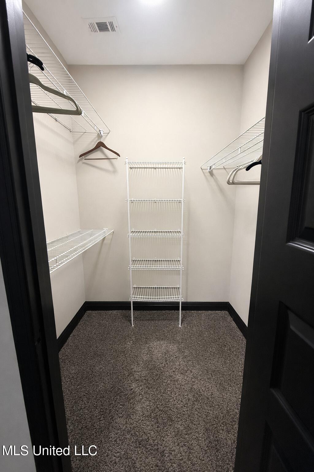 174 Hardy Williams Road Pinola, MS 39149 - Photo 21 of 22 WALK IN CLOSET