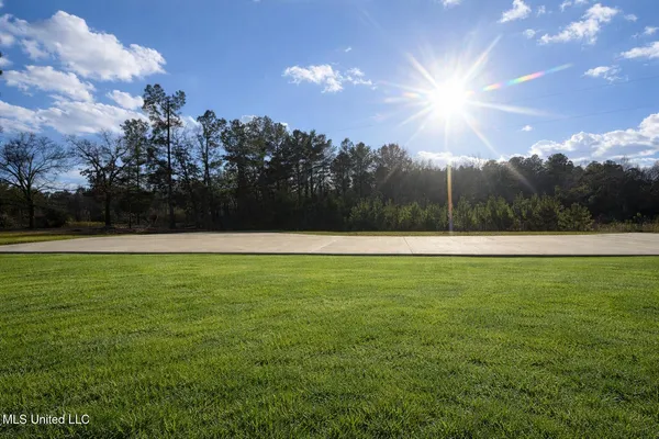 $519,000 | 174 Hardy Williams Road, Pinola, MS 39149