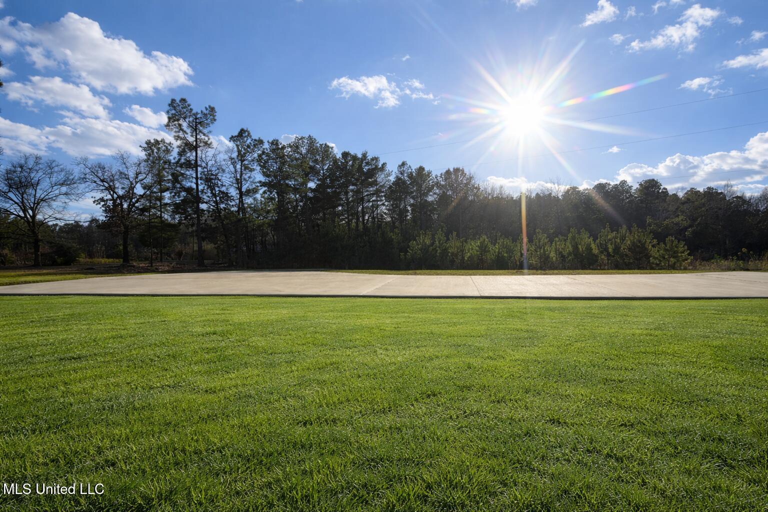 174 Hardy Williams Road Pinola, MS 39149 - Photo 4 of 22 15 ACRES