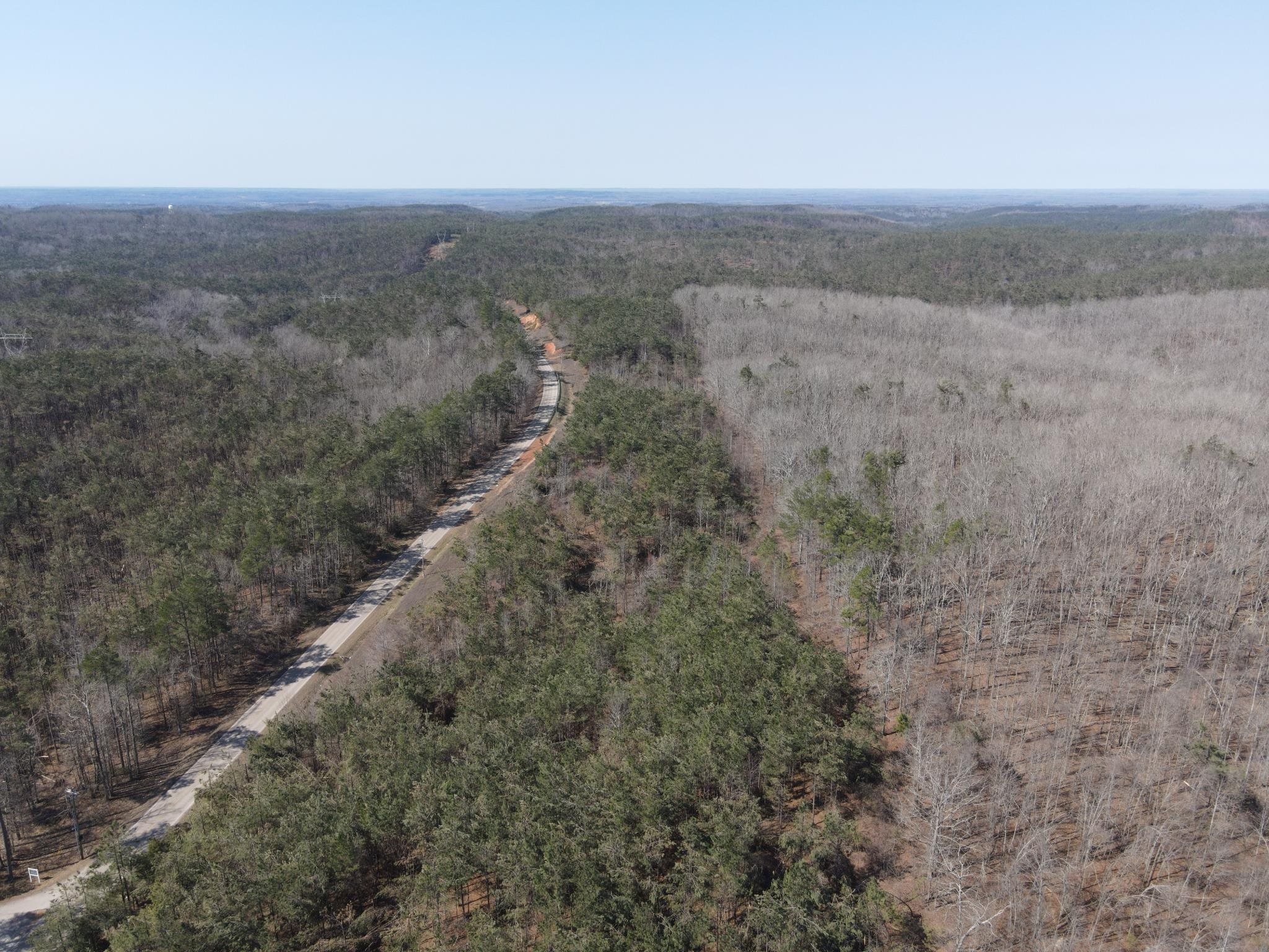 2 Pyburn Drive Savannah, TN 38372 - Photo 3 of 19 a view of a dry yard with green space