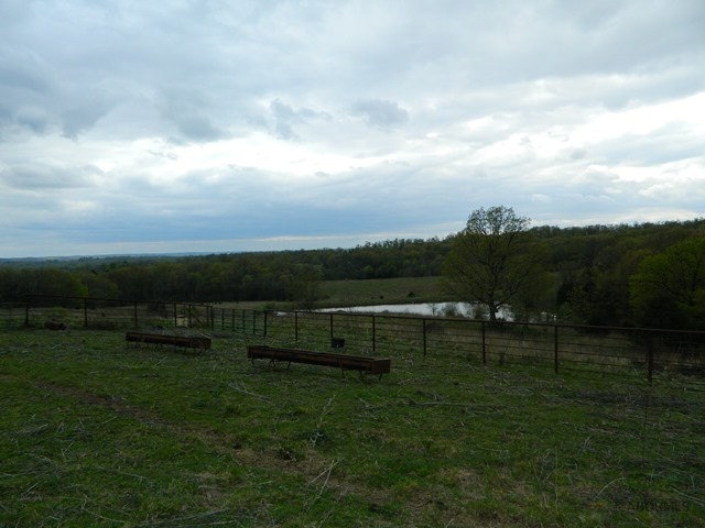 5868 State Road, Unit PP Tebbetts, MO 65080 - Photo 9 of 13