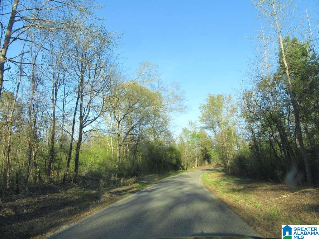 0 Cedar Springs Road, Unit 1 Talladega, AL 35160 - Photo 1 of 8