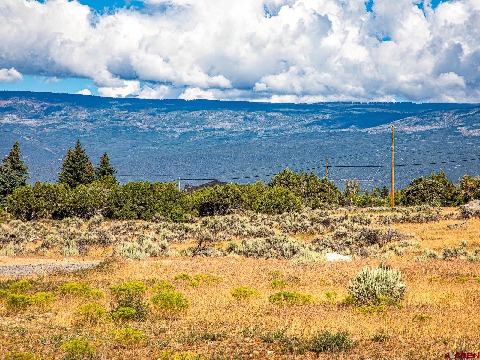 Lot 2 Cedar Mesa Road Cedaredge, CO 81413 - Photo 11 of 18 a view of a yard with an empty space