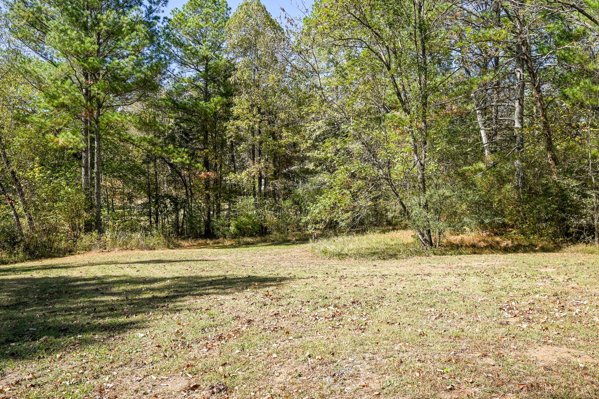 4845 Wilson Drive Cleveland, TN 37312 - Photo 49 of 56