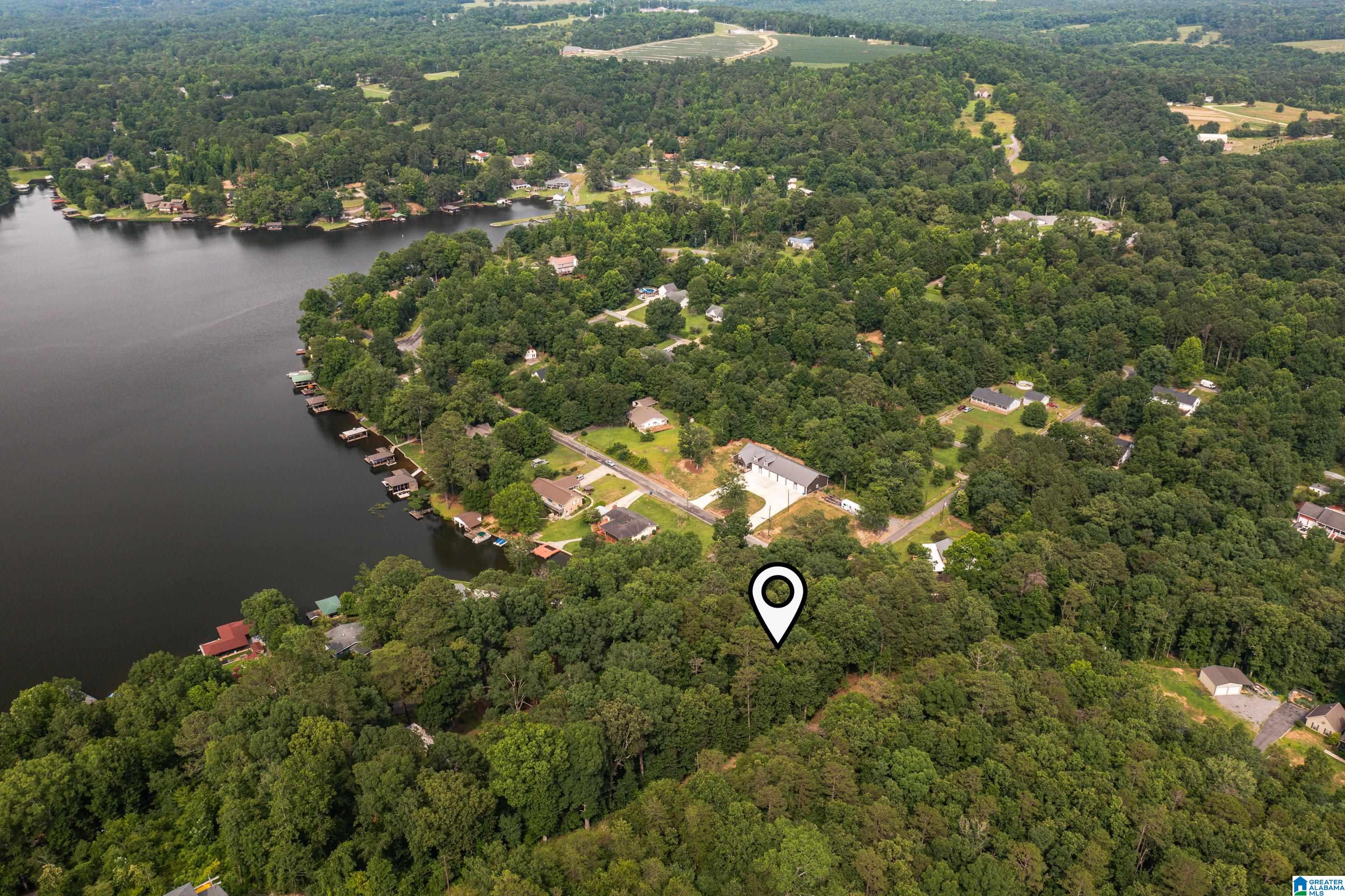 58 East Sunset Boulevard Oneonta, AL 35121 - Photo 7 of 40