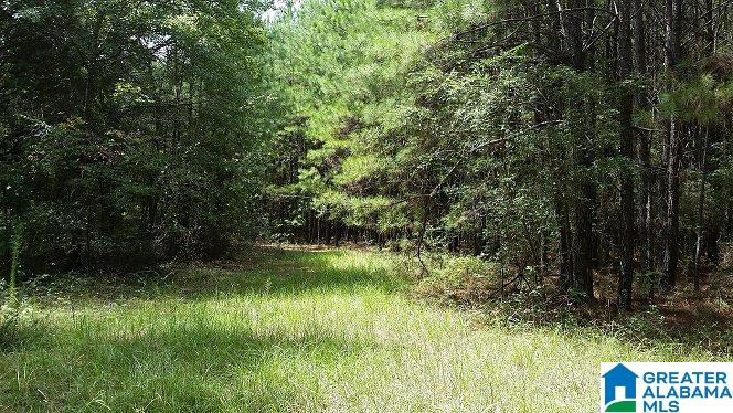 0 Coleman Road Sylacauga, AL 35150 - Photo 8 of 13
