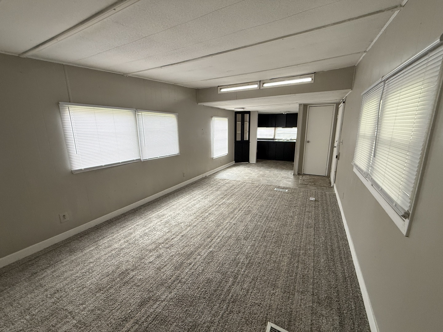 1712 South Dixie Highway, Unit 27 Crete, IL 60417 - Photo 10 of 13 a view of empty room with a fireplace
