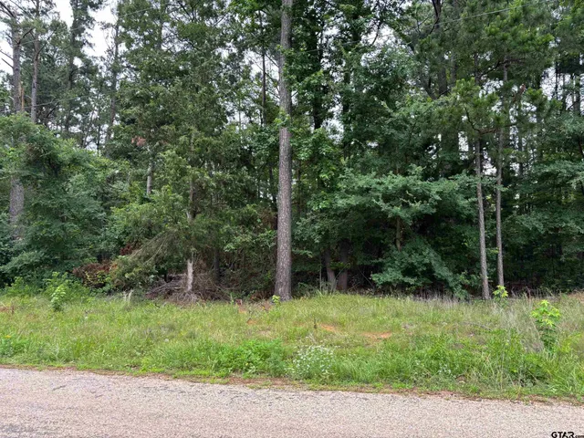 a view of backyard with green space