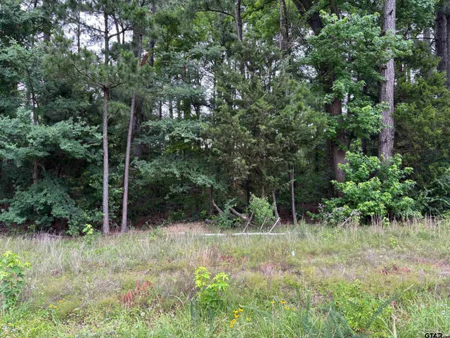 a view of outdoor space and garden