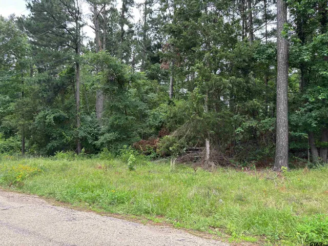 a view of outdoor space and green field