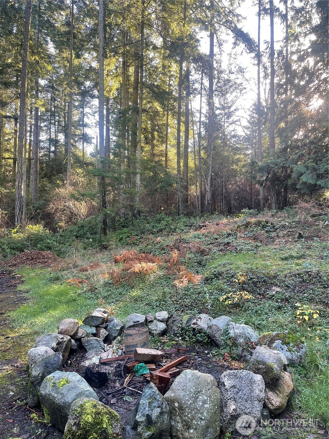 276 Point Caution Drive Friday Harbor, WA 98250 - Photo 17 of 21 a backyard of a house with lots of green space